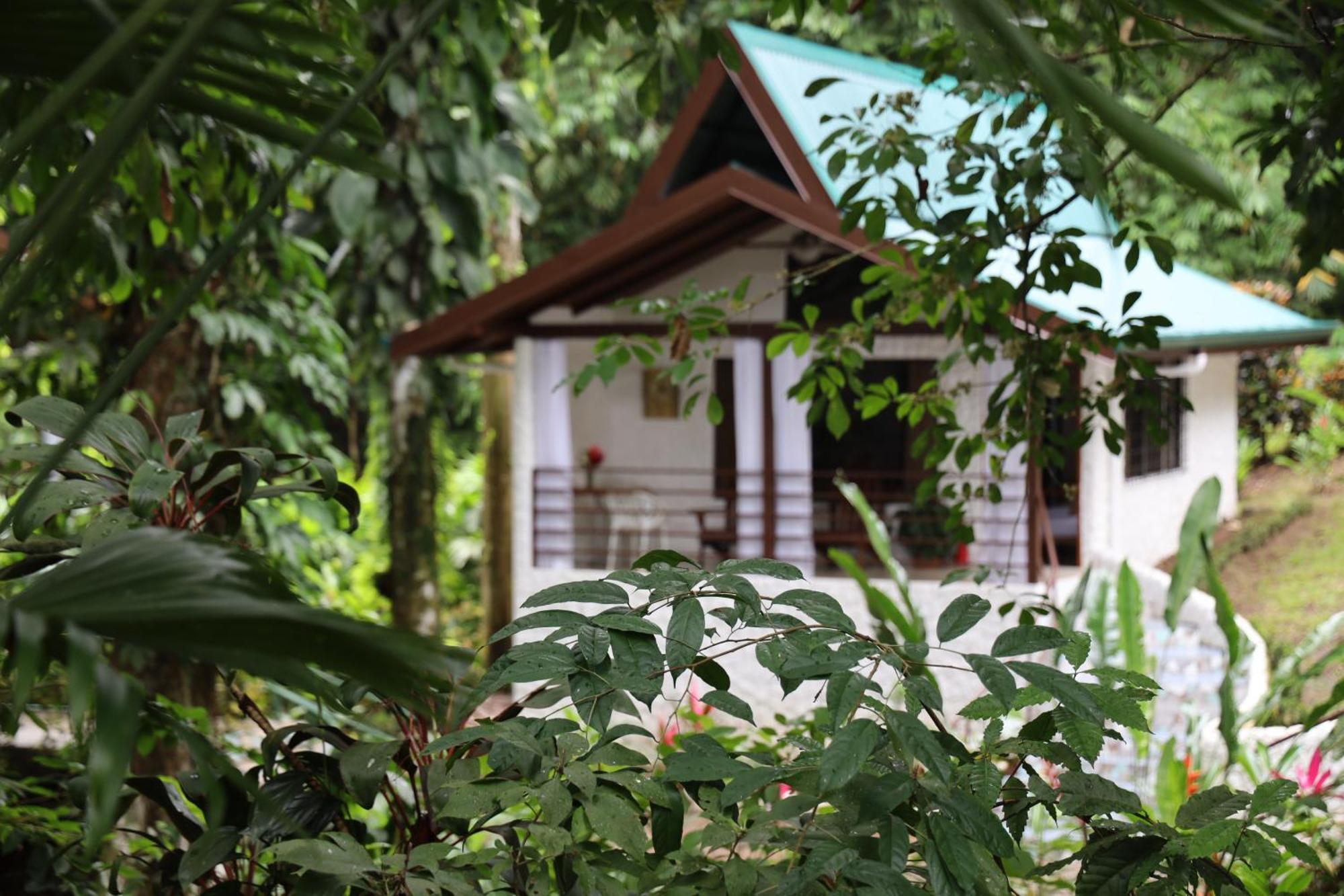 Ecotica Boutique Hotel (Adults Only) Manuel Antonio Zewnętrze zdjęcie